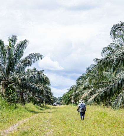 El llano Raiz de lo que somos