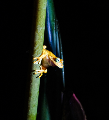 Biodiversidad